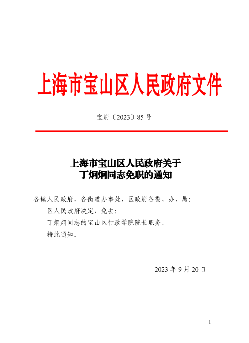 85号—上海市宝山区人民政府关于丁炯炯同志免职的通知.pdf