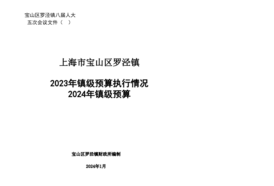 2024年镇人代会大预算表（政府预算）20240206.pdf