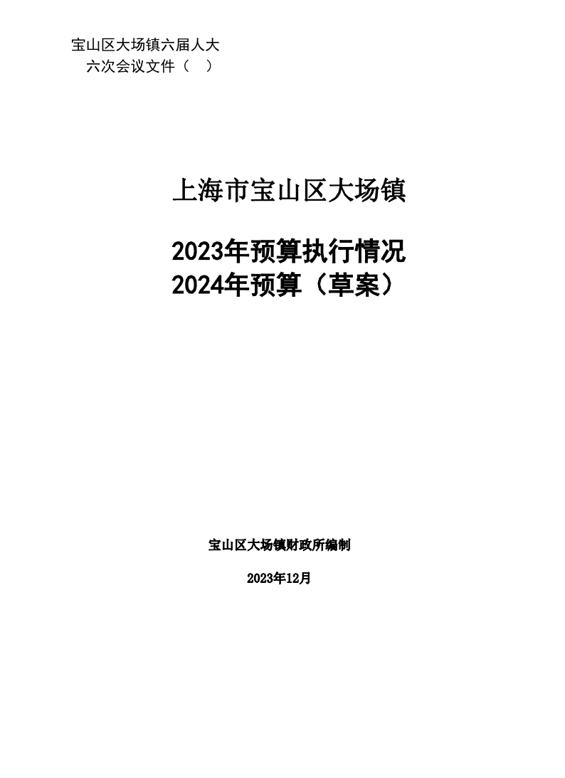 2023-2024年镇人代会大预算表.pdf