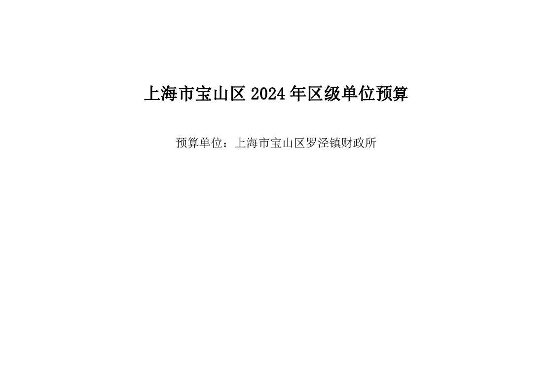 宝山区罗泾镇财政所2024年单位预算公开.pdf
