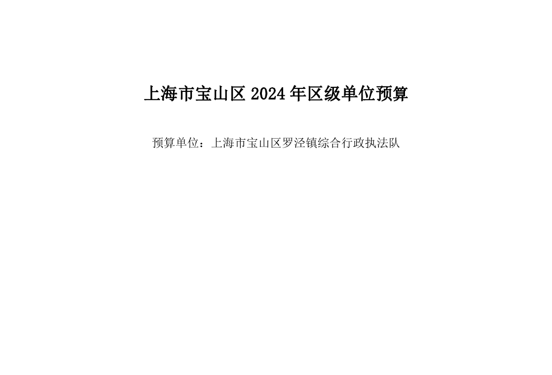 宝山区罗泾镇综合行政执法队2024年单位预算公开.pdf