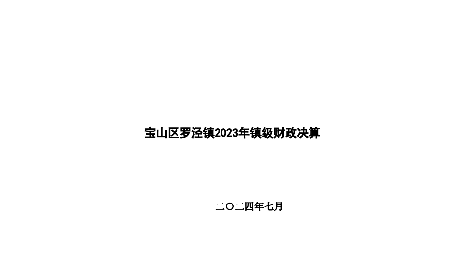 罗泾镇2023年镇级财政决算报表及2024年上半年镇级财政执行情况报表240820.pdf