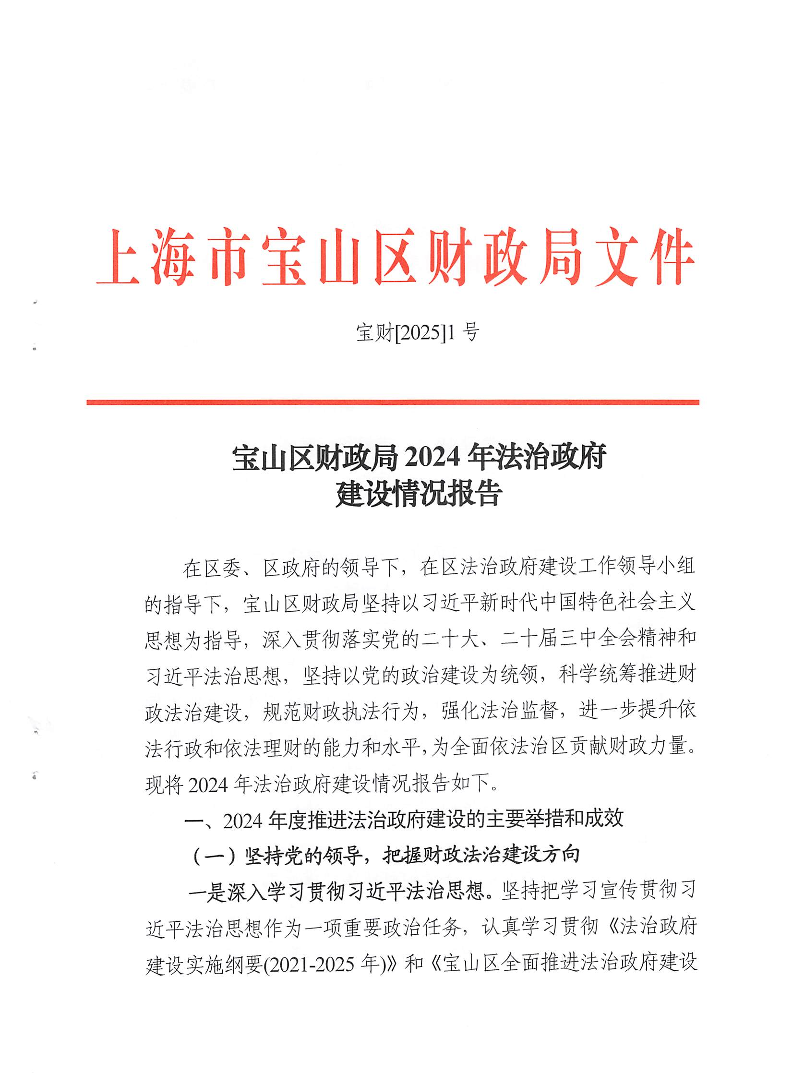 宝山区财政局2024年法治政府建设情况报告.pdf