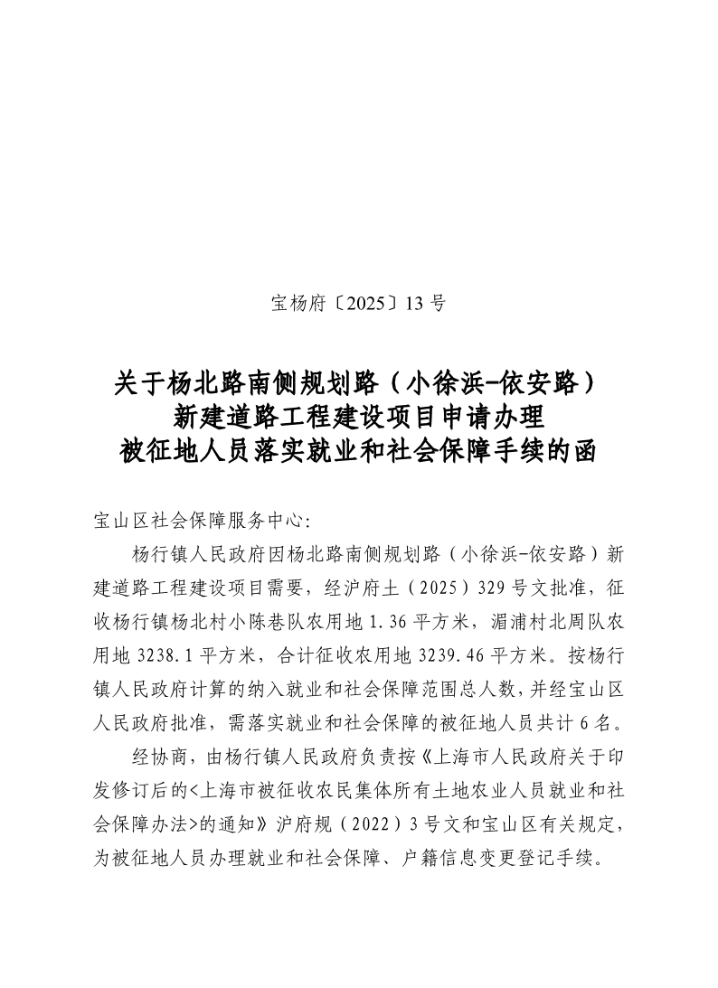 宝杨府（2025）13号.pdf