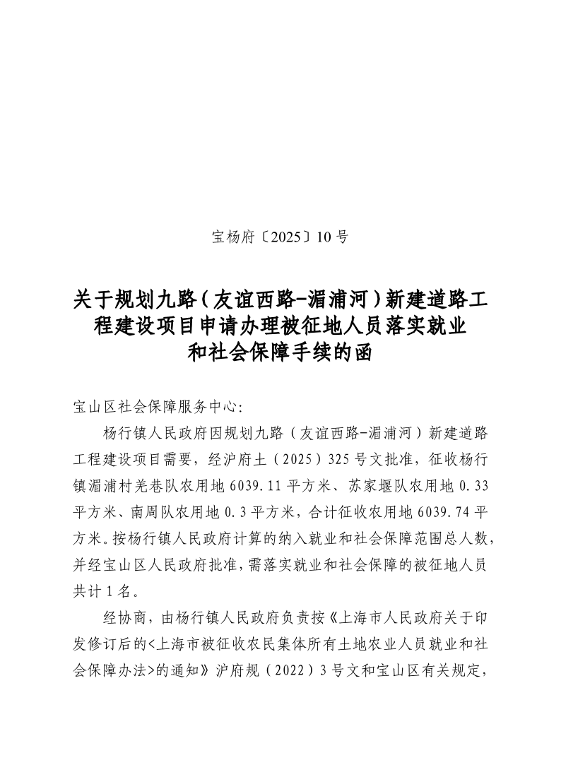 宝杨府（2025）10号.pdf