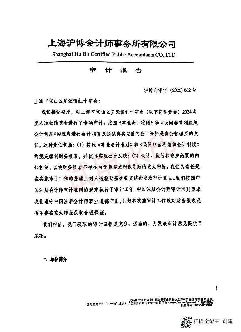 审计报告.pdf