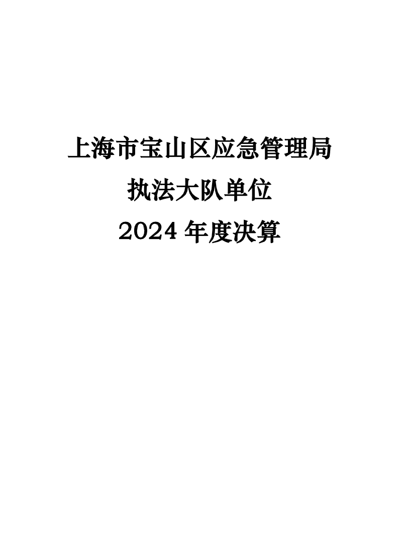 上海市宝山区应急管理局执法大队2024年度单位决算公开.pdf