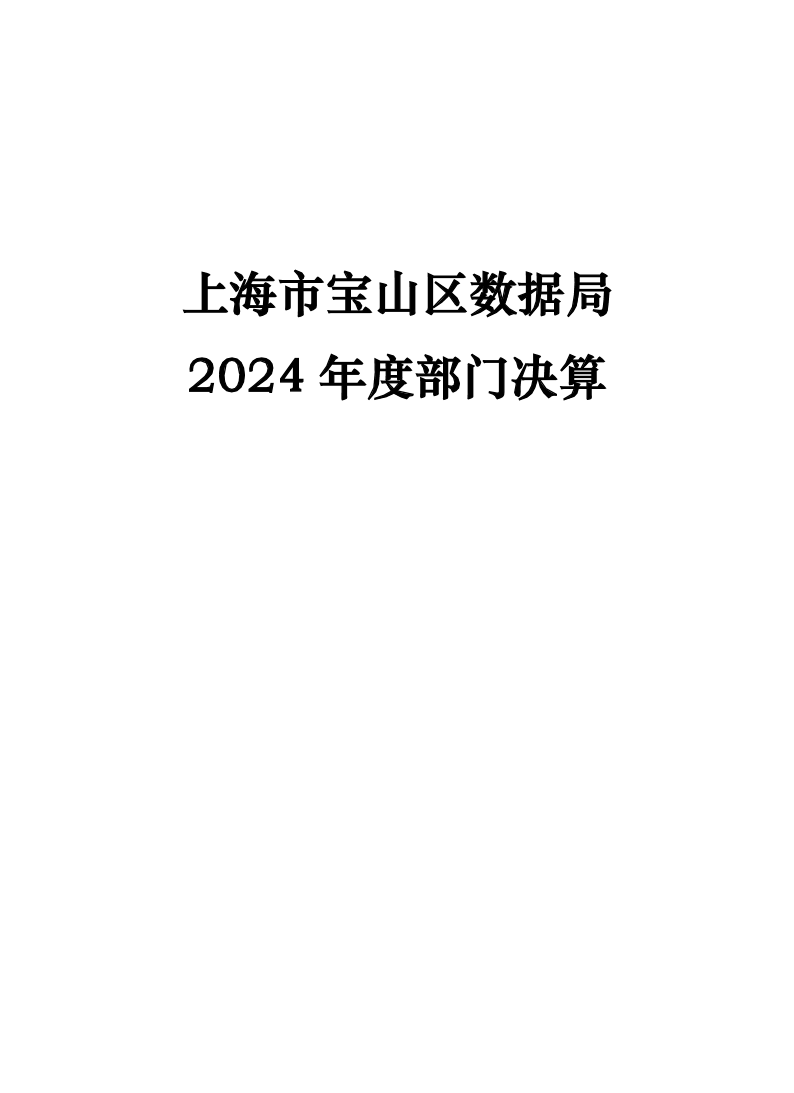 上海市宝山区数据局2024年度部门决算公开.pdf