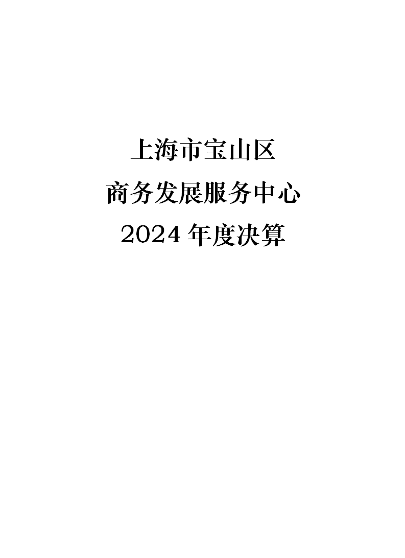 上海市宝山区商务发展服务中心2024年度决算.pdf