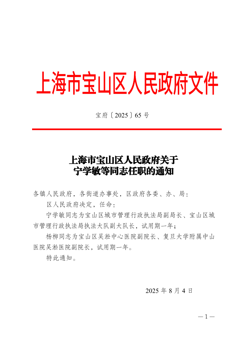 65号—上海市宝山区人民政府关于宁学敏等同志任职的通知.pdf