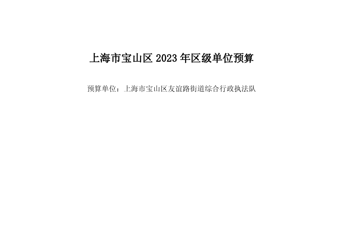 宝山区友谊路街道综合行政执法队2023年单位预算.pdf