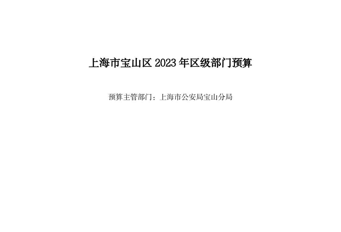 宝山区公安局2023年部门预算.pdf