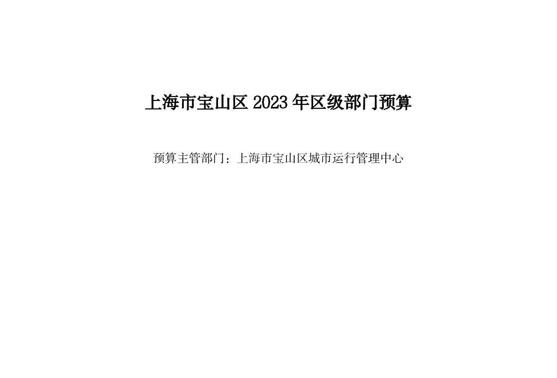 宝山区城市运行管理中心2023年部门预算.pdf