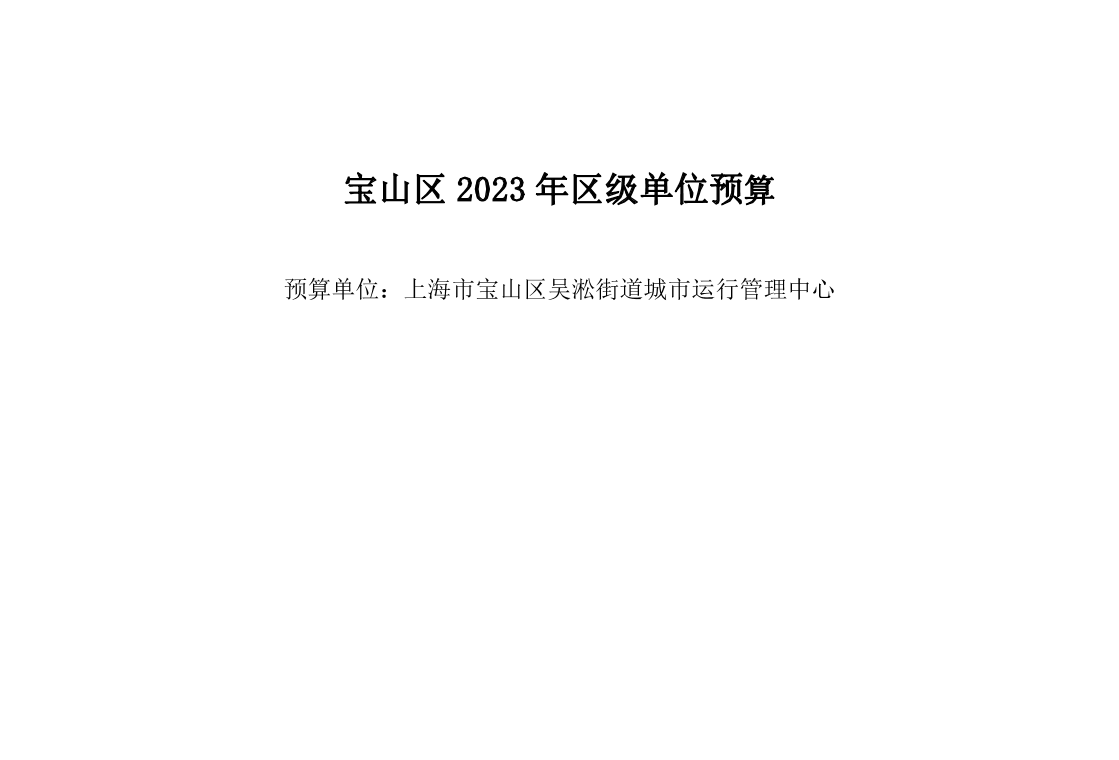 宝山区吴淞街道城市运行管理中心2023年单位预算.pdf