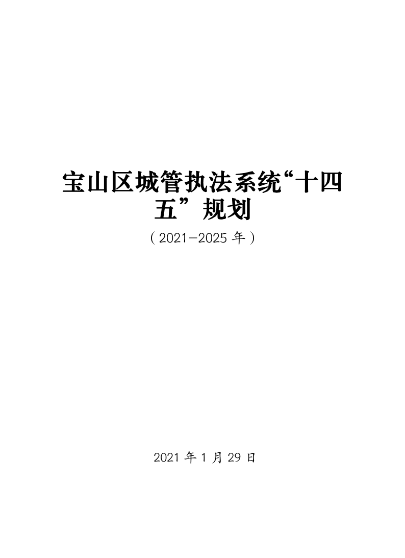 宝山区城管执法系统“十四五”规划.pdf