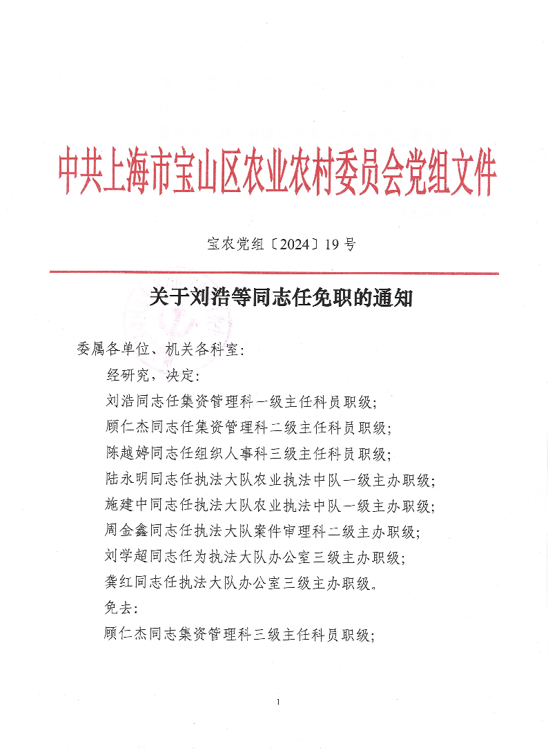 宝农党组〔2024〕19号.pdf
