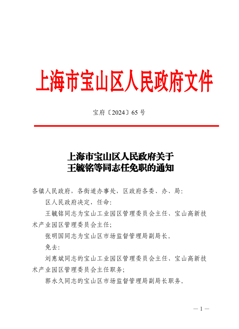 65号—上海市宝山区人民政府关于王毓铭等同志任免职的通知.pdf