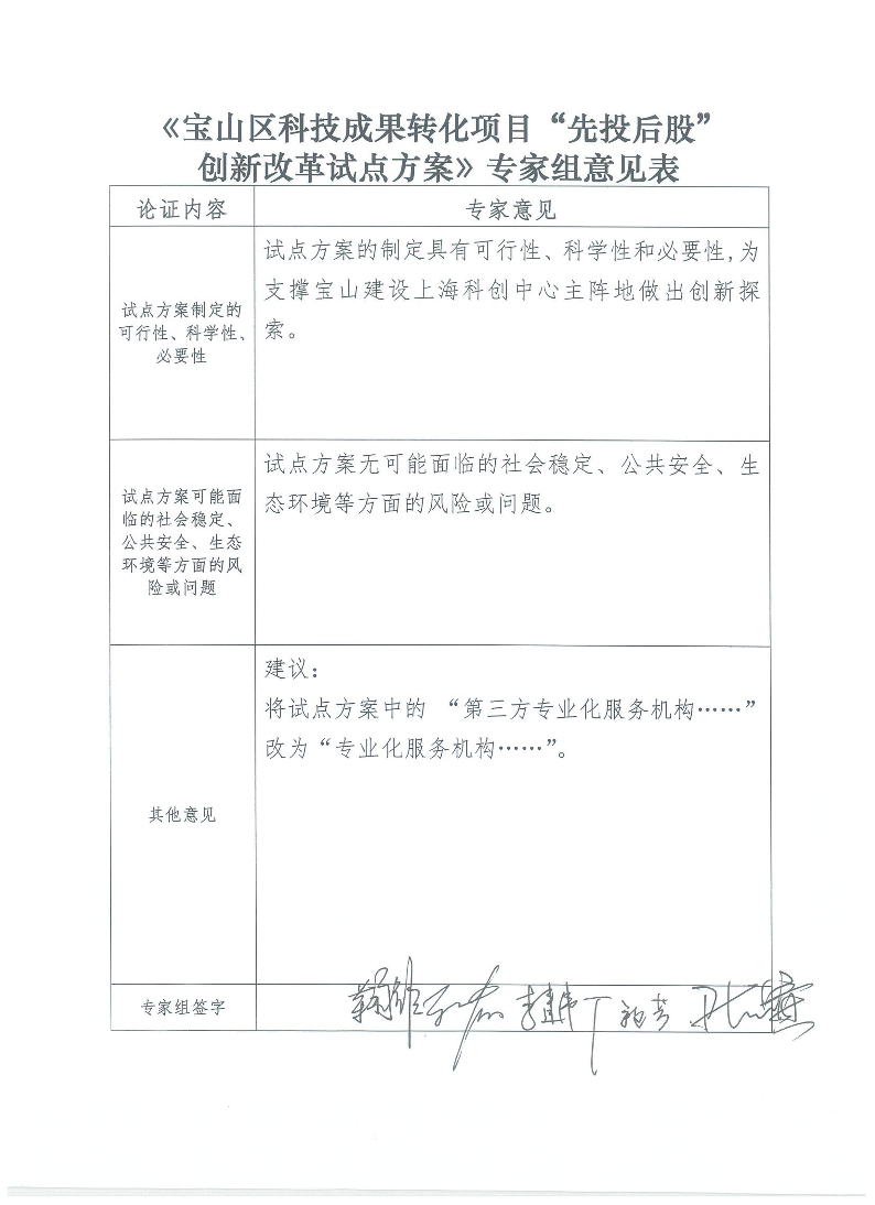 专家意见.pdf