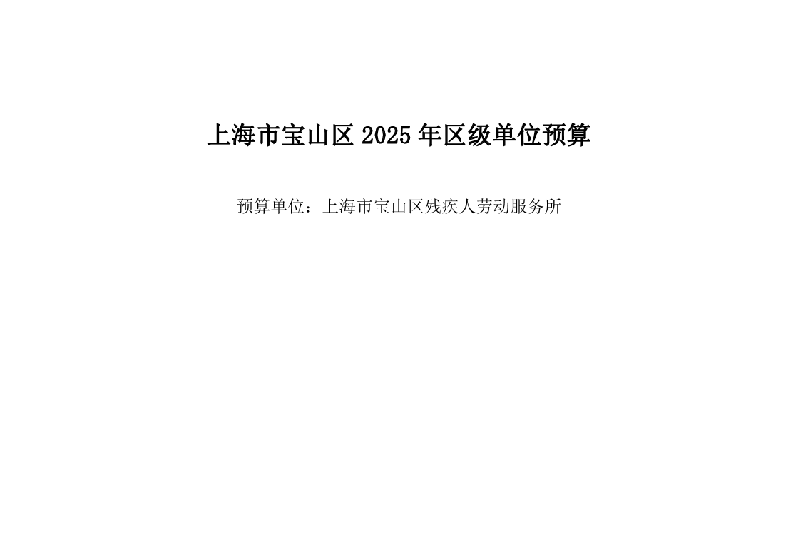 宝山区残疾人劳动服务所2025年单位预算.pdf