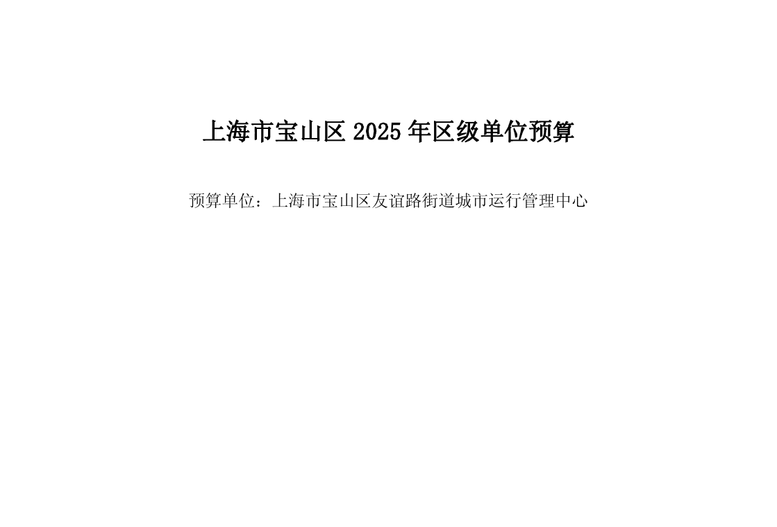 宝山区友谊路街道城市运行管理中心2025年单位预算.pdf