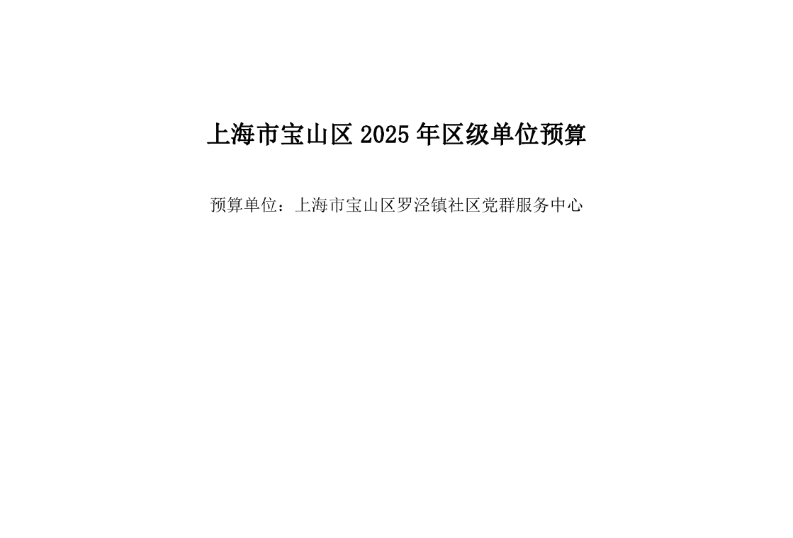 宝山区罗泾镇社区党群服务中心2025年单位预算.pdf