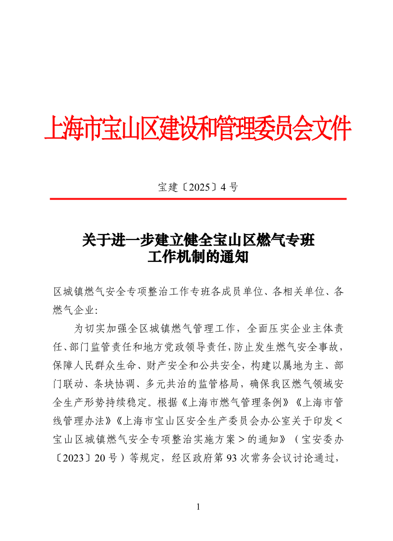 宝建2025-4关于进一步建立健全宝山区燃气专班工作机制的通知.pdf