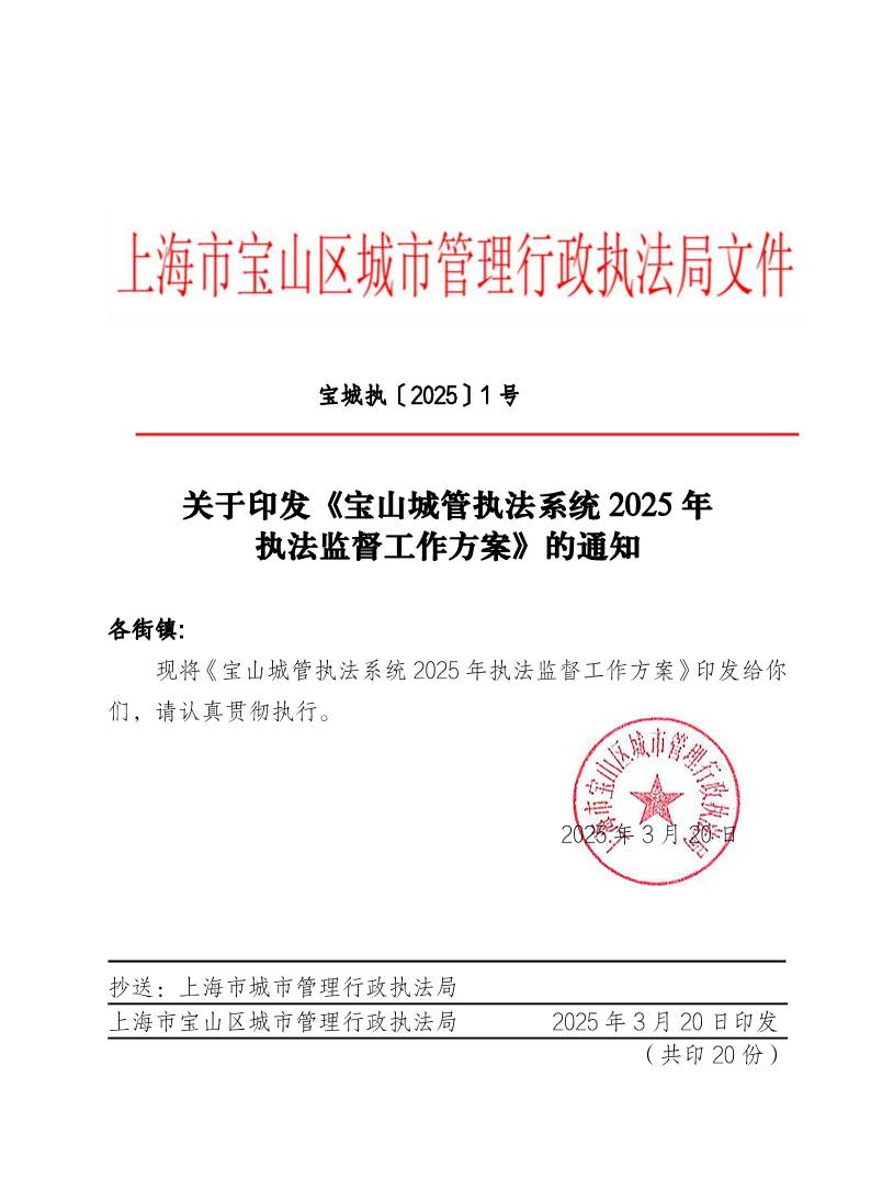 宝城执（2025）1号.pdf