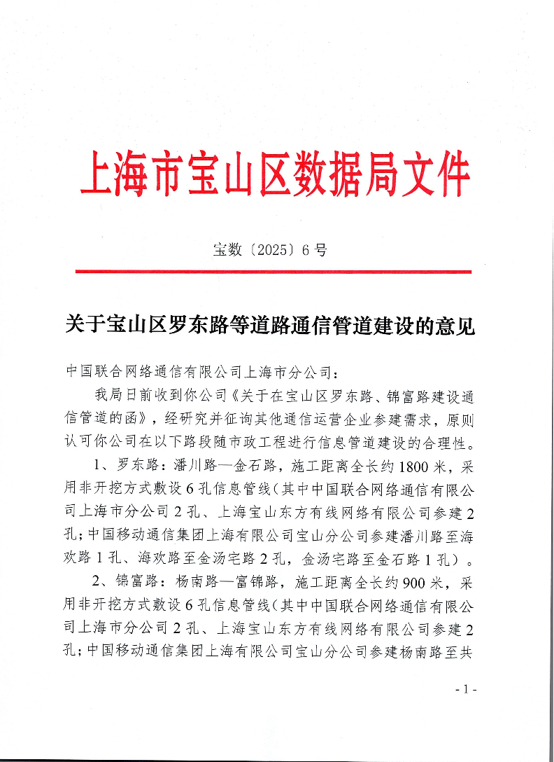 6号-关于宝山区罗东路等道路通信管道建设的意见.pdf