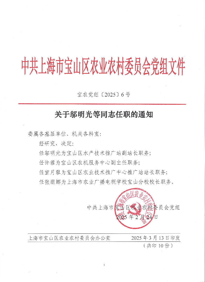 宝农党组〔2024〕6号.pdf