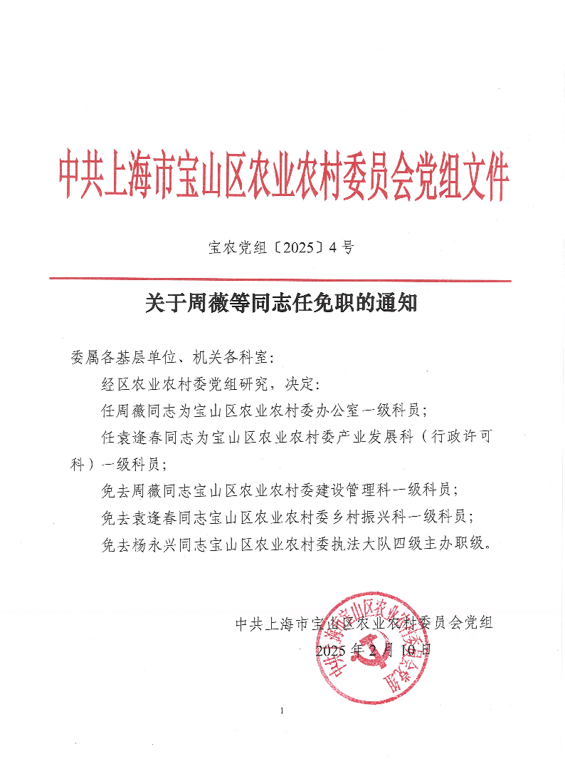 宝农党组〔2024〕4号.pdf