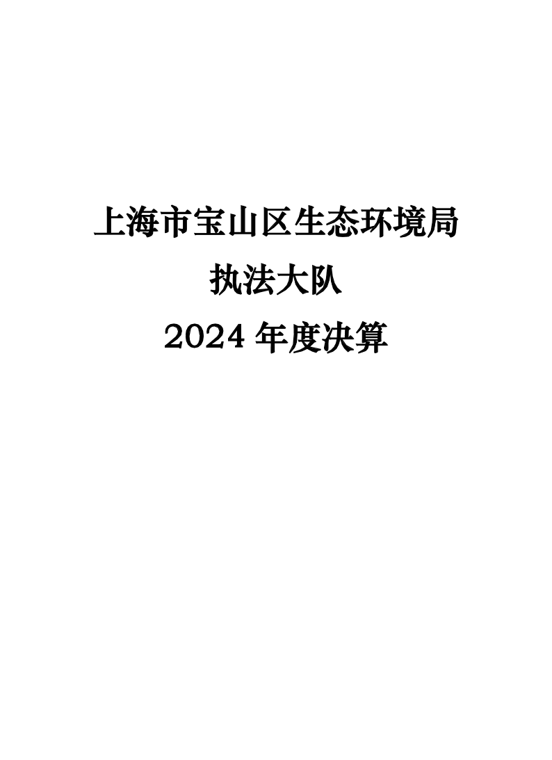 上海市宝山区生态环境局执法大队2024年度单位决算.pdf