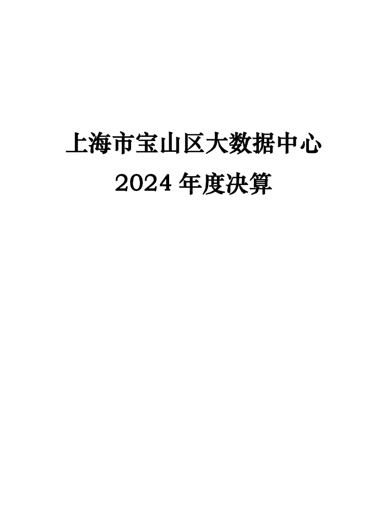 上海市宝山区大数据中心2024年单位决算公开.pdf