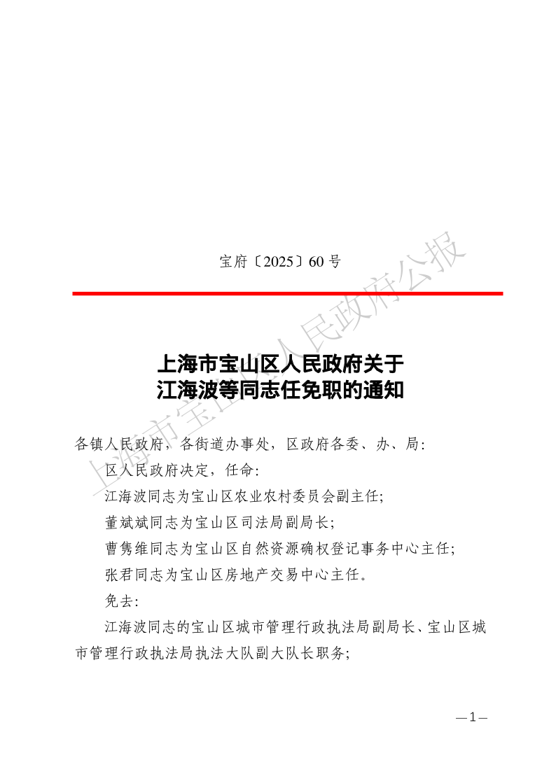 60号—上海市宝山区人民政府关于江海波等同志任免职的通知-1.pdf