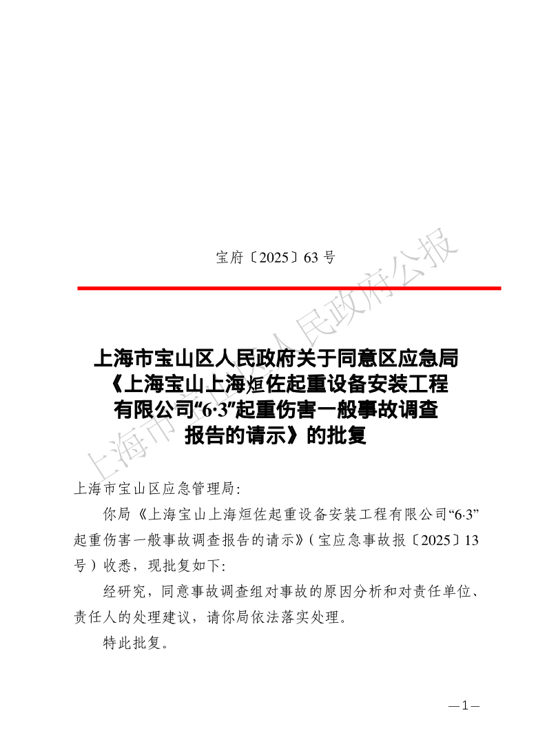 63号—上海市宝山区人民政府关于同意区应急局《上海宝山上海烜佐起重设备安装工程有限公司“6·3”起重伤害一般事故调查报告的请示》的批复-1.pdf