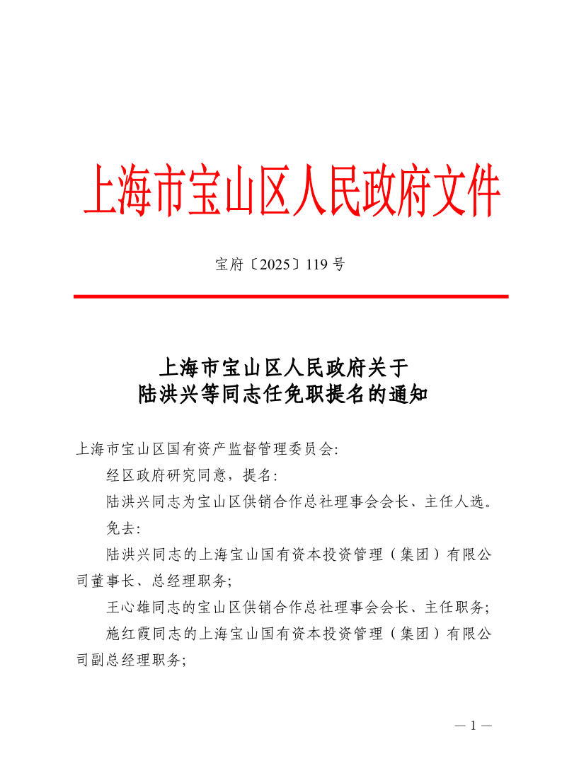 119号—上海市宝山区人民政府关于陆洪兴等同志任免职提名的通知.pdf
