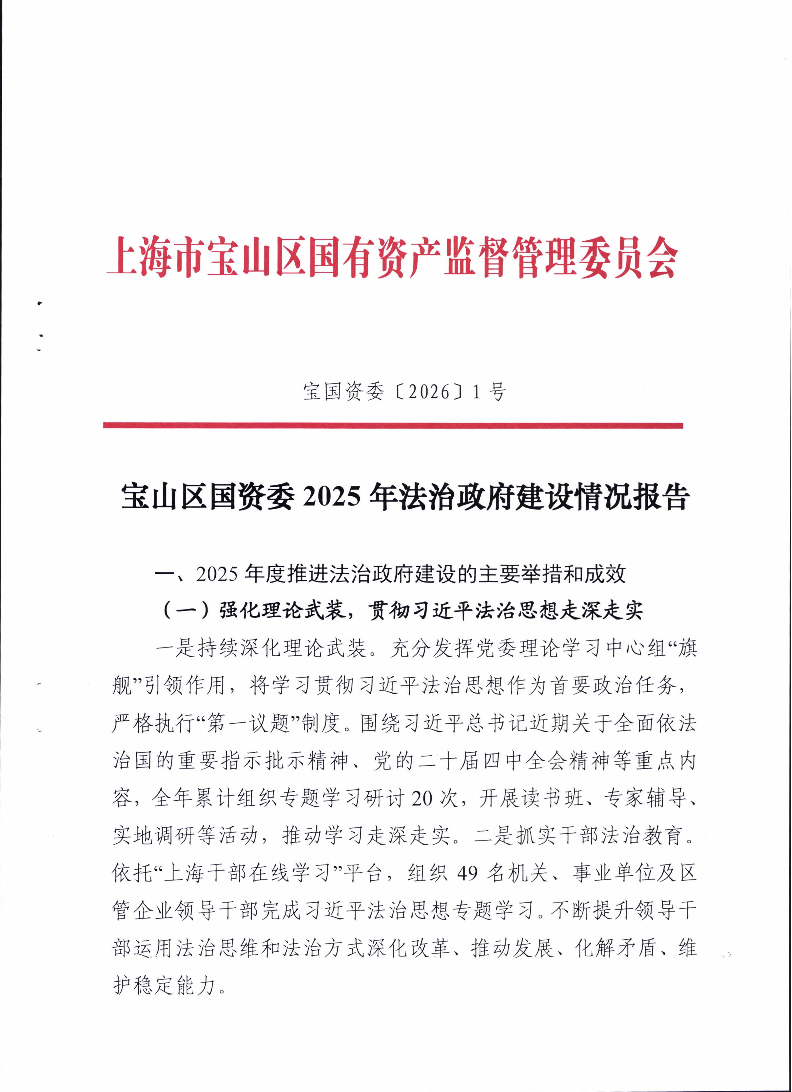 1--法治政府建设情况报告.pdf