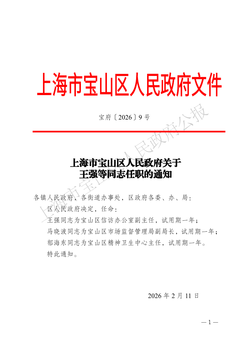 9号—上海市宝山区人民政府关于王强等同志任职的通知-1.pdf