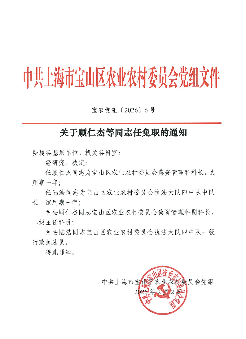 宝农党组〔2026〕6号.pdf