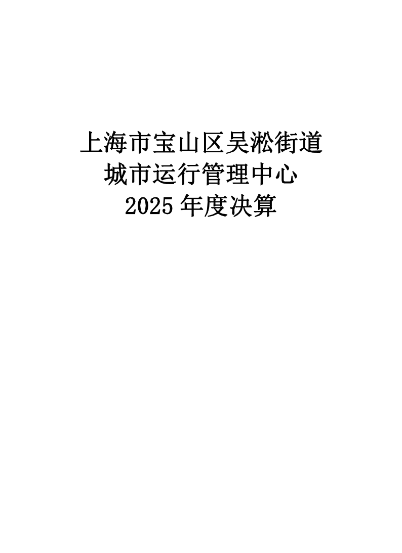 上海市宝山区吴淞街道城市运行管理中心2025年度单位决算.pdf