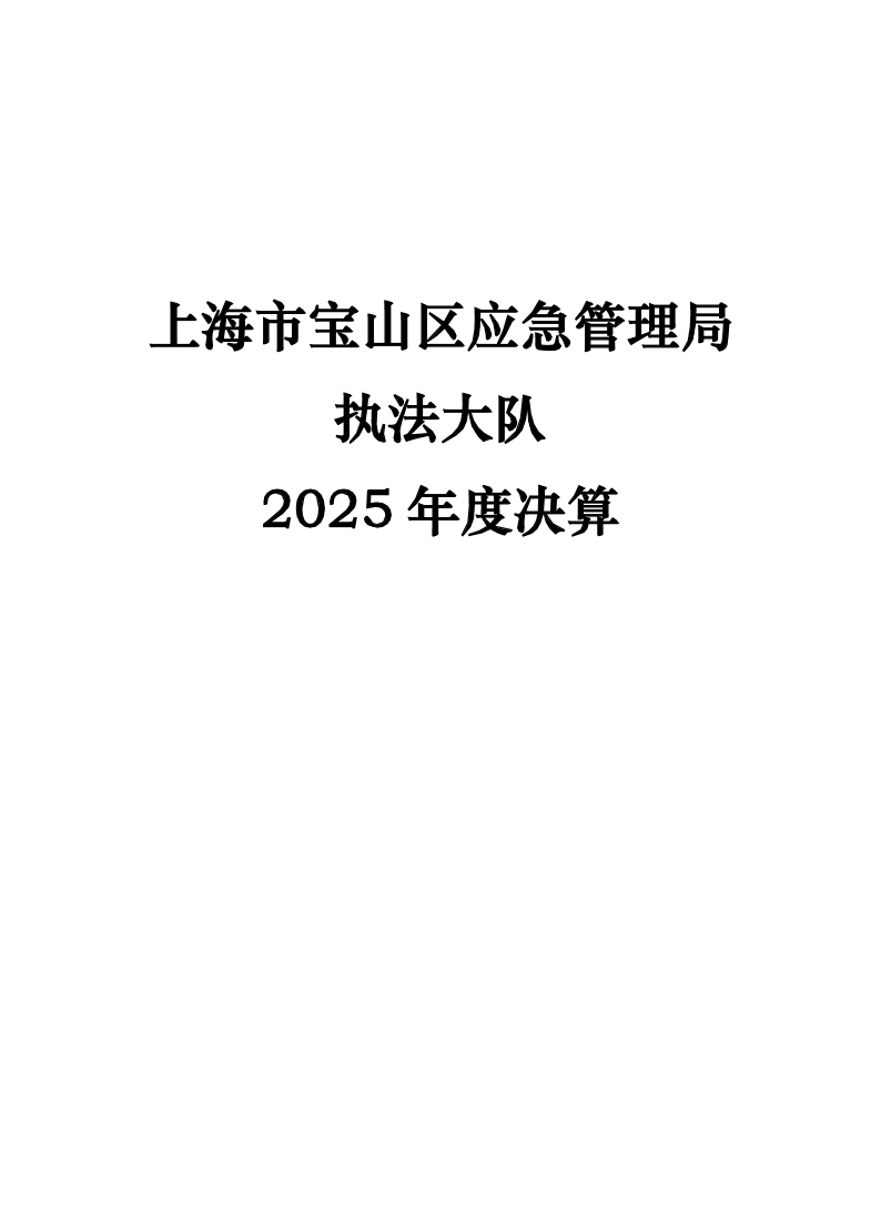 上海市宝山区应急管理局执法大队2025年度决算.pdf