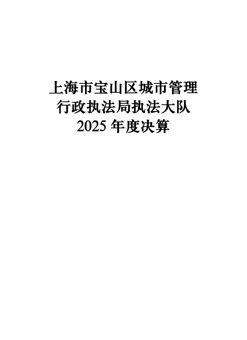 上海市宝山区城市管理行政执法局执法大队2025年度决算信息公开.pdf