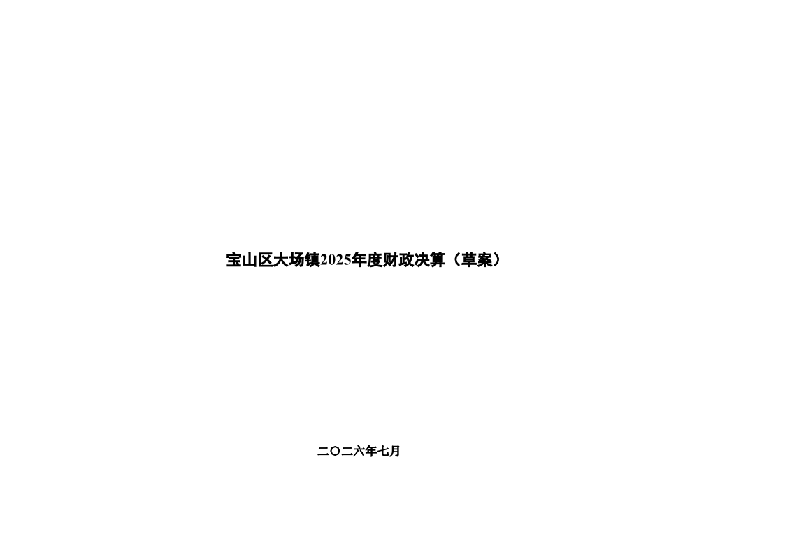 大场镇2025年决算和2026年上半年执行情况.pdf