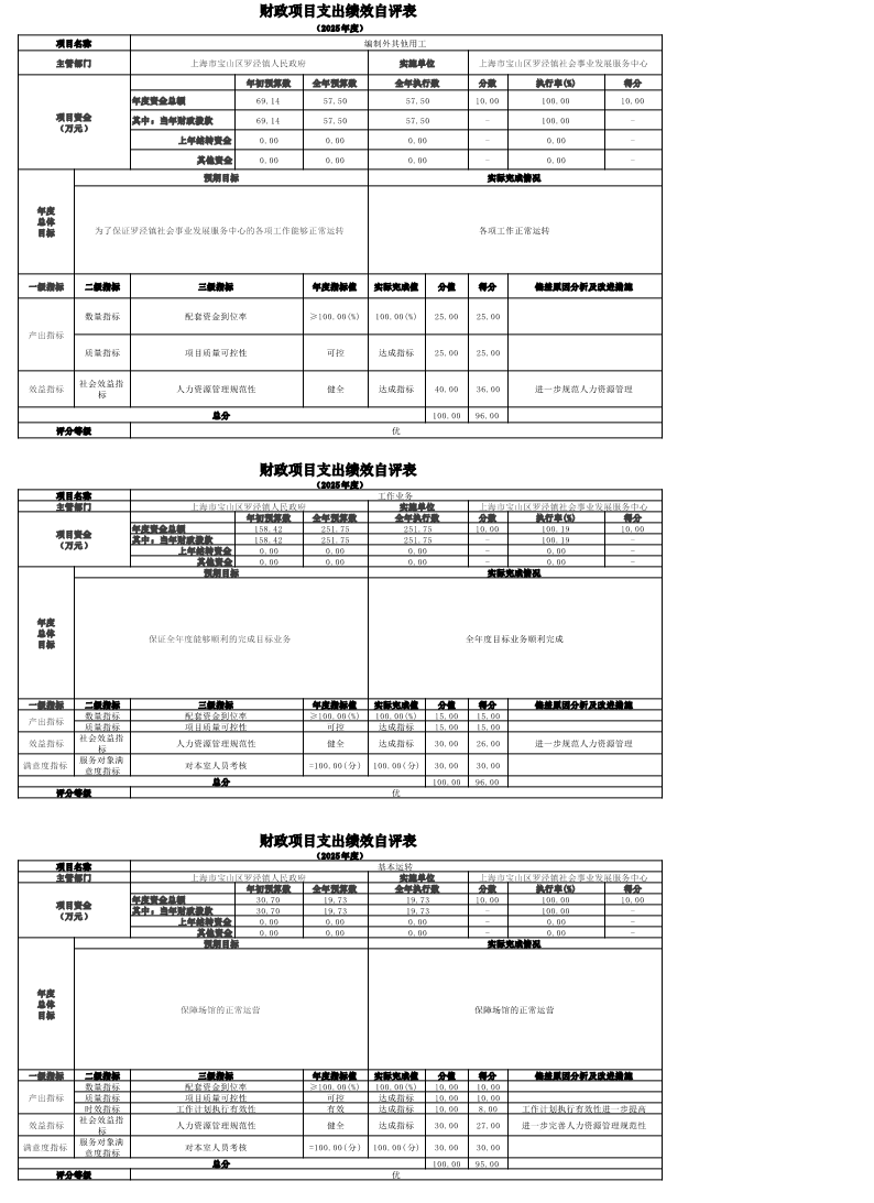 上海市宝山区罗泾镇社会事业发展服务中心2025年度项目绩效自评表.pdf