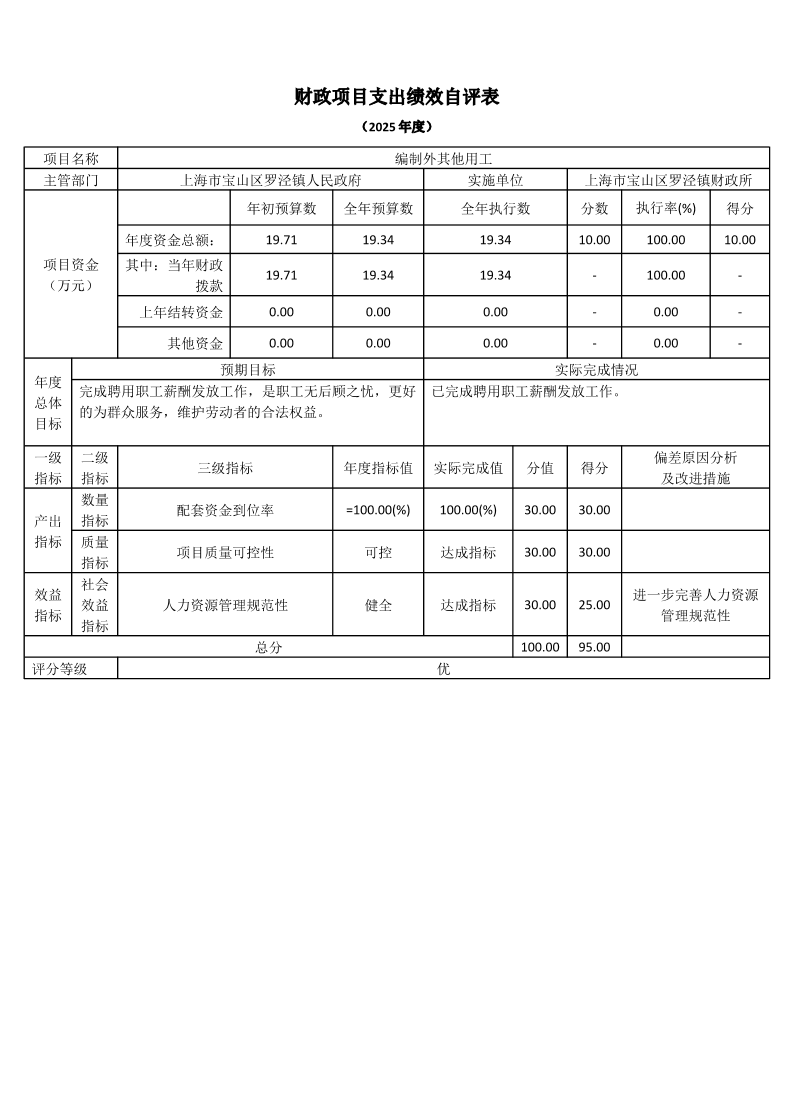 上海市宝山区罗泾镇财政所2025年度项目绩效自评表.pdf