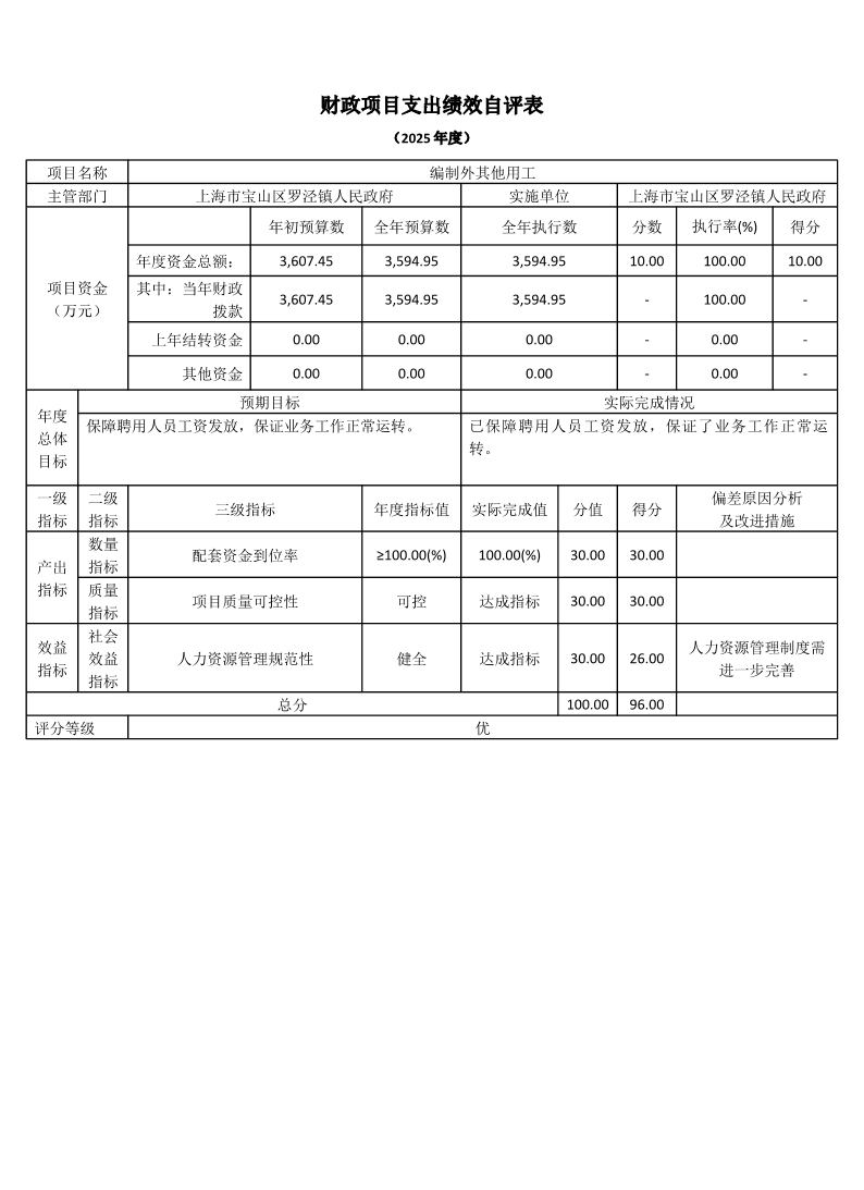 上海市宝山区罗泾镇人民政府2025年度项目绩效自评表2.pdf
